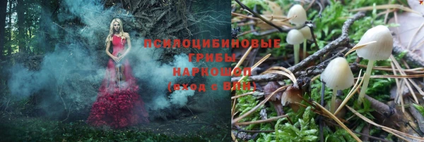 ГАЛЛЮЦИНОГЕННЫЕ ГРИБЫ Алексеевка